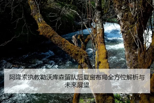 阿隆索执教勒沃库森留队后夏窗布局全方位解析与未来展望