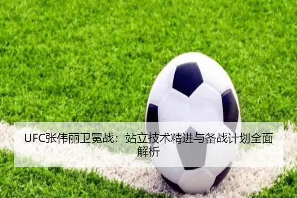 UFC张伟丽卫冕战：站立技术精进与备战计划全面解析