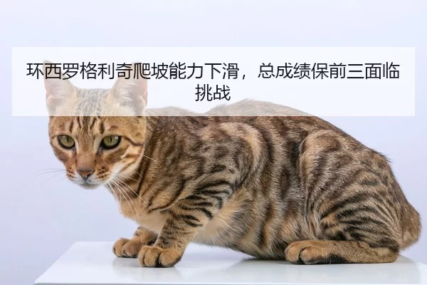 huan-xi-luo-ge-li-qi-pa-po-neng-li-xia-hua-zong-cheng-ji-bao-qian-san-mian-lin-tiao-zhan-2-991.jpg
